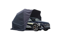Audi ETRON