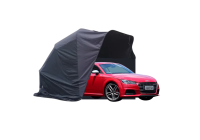 Audi TTS