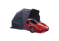 Ferrari Enzo