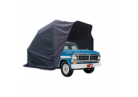 Ford F1000