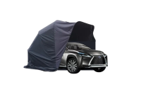 Lexus NX 200T