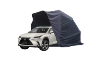Lexus NX 300